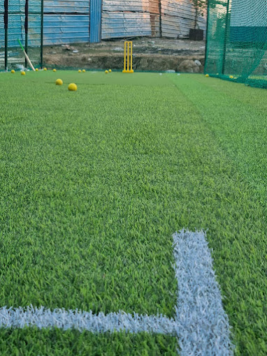 The pitch Faridabad photo 1
