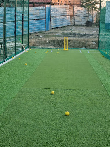 The pitch Faridabad photo 2